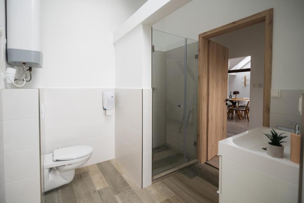 Koupelna v ubytování H30 Apartman