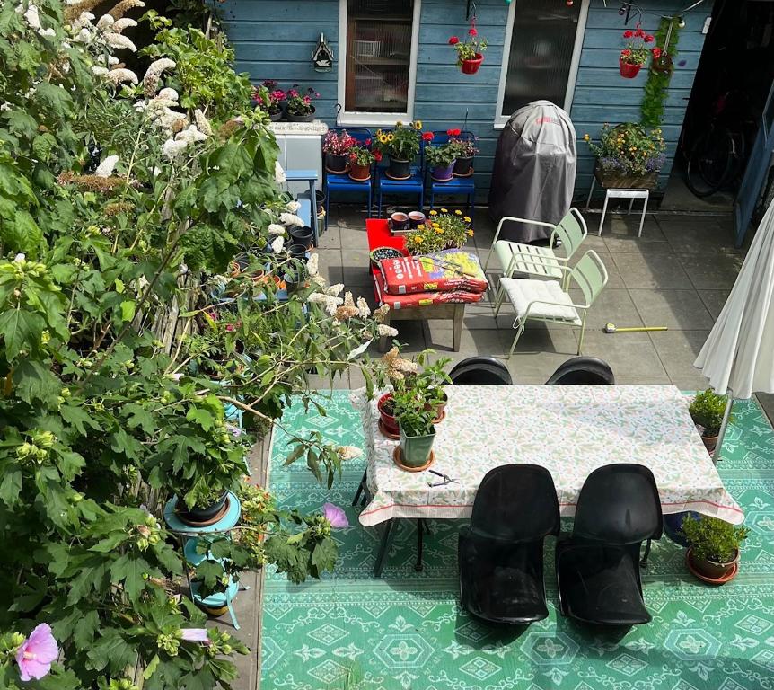 Zahrada ubytování BeBaBops Homestay Utrecht