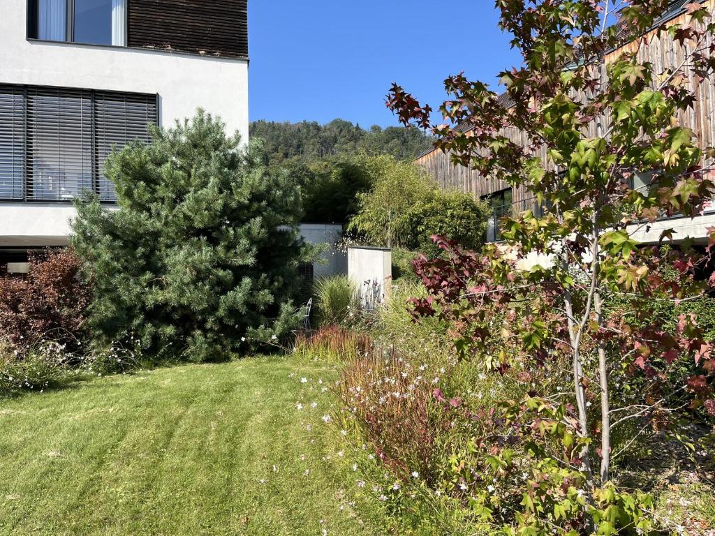 Suite Hôte Luxe 2 P Aux Vignes Lovées – photo 9
