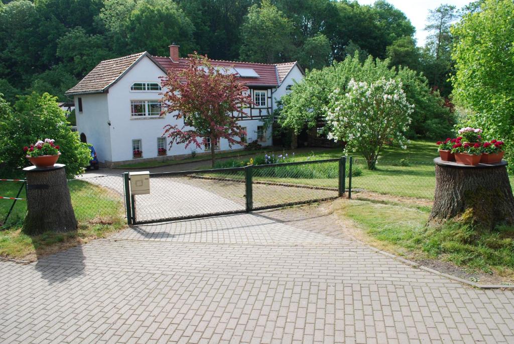 a driveway leading to a house with two trees at Ferienwohnung Obermühle in Ballstädt