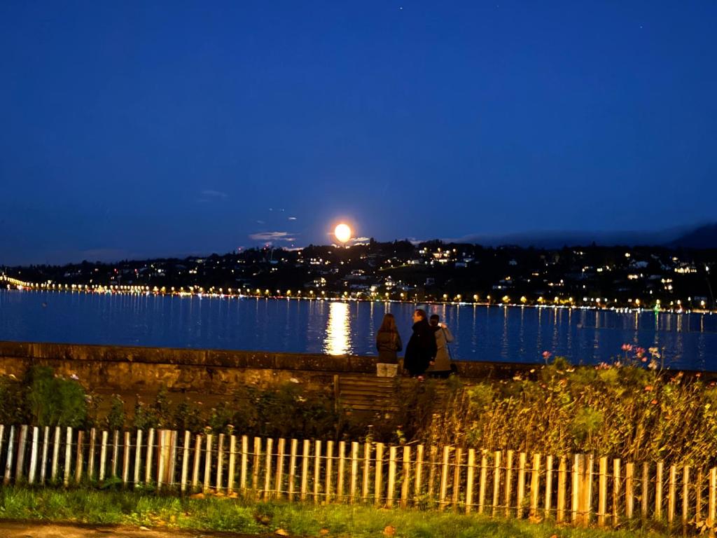 Amazing location Geneva , Eauv-Vives