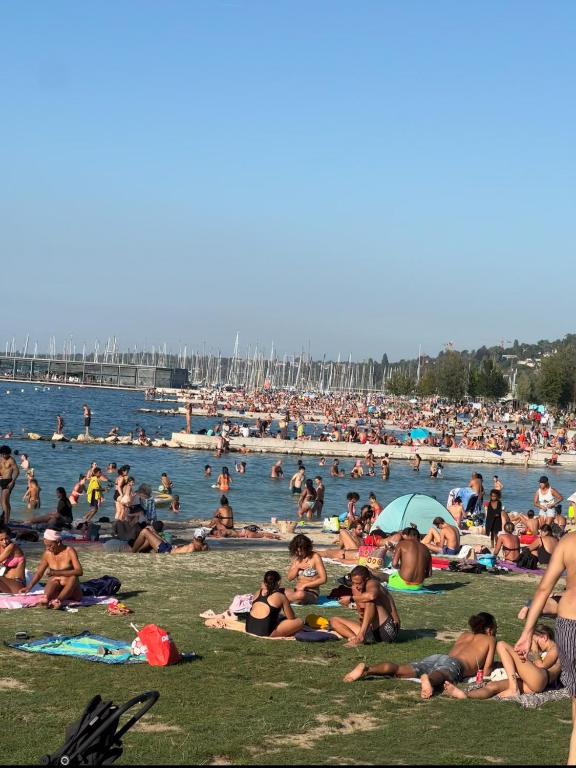 Amazing location Geneva , Eauv-Vives - Resim 5