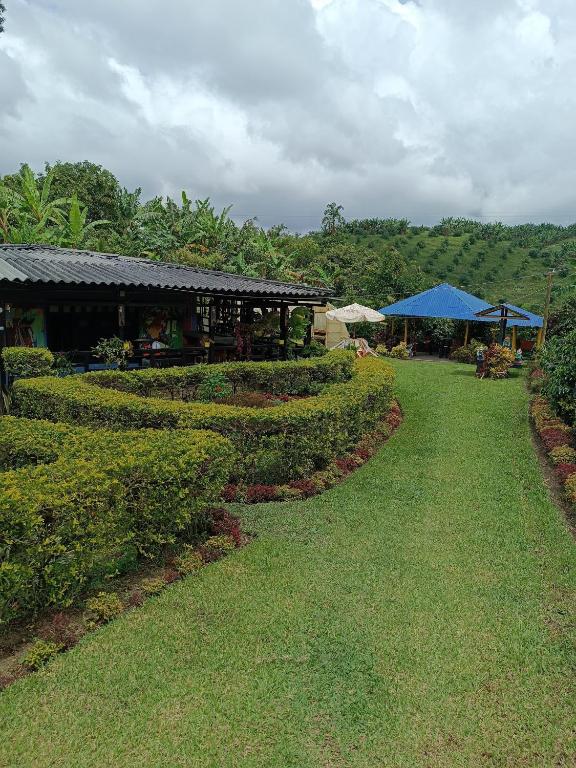 A garden outside Cafilandia