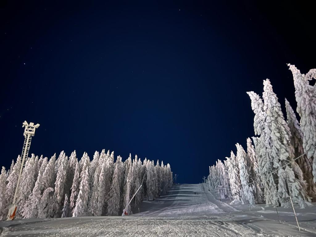 Fotografie z fotogalerie ubytování VILA JEZERO v destinaci Kopaonik