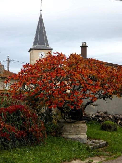un arbre à fleurs rouges devant une église dans l'établissement Gîte le Saloon du Vermois, à Burthecourt-aux-Chênes