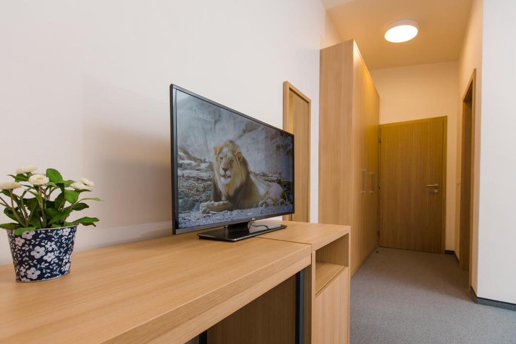 TV a/nebo společenská místnost v ubytování Vila Vivenot