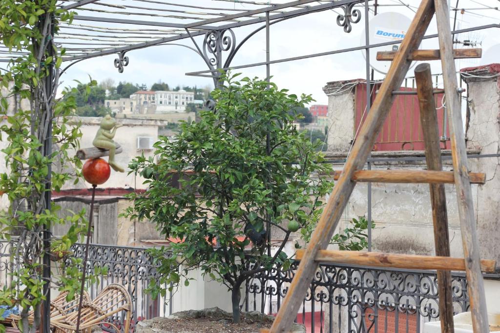 Ogród w obiekcie Lemon Tree Terrace