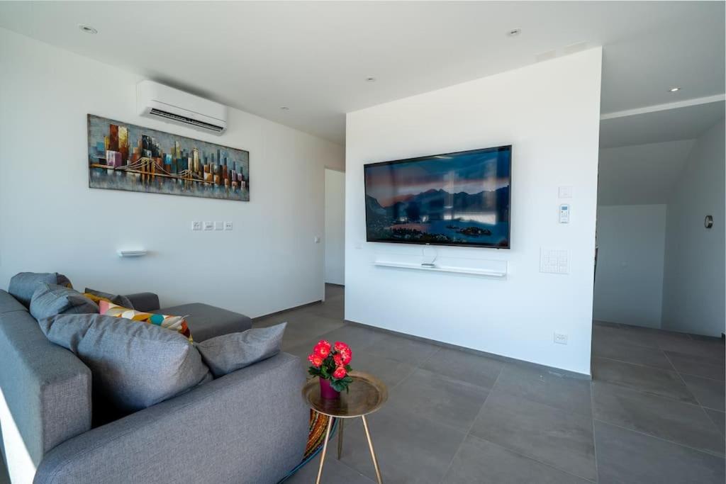 TV a/nebo společenská místnost v ubytování Loft victoria