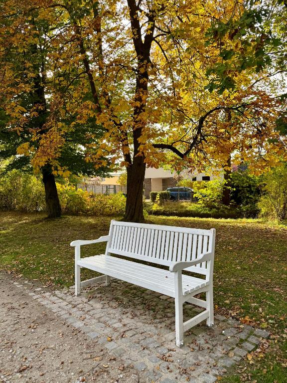 Zdjęcie z galerii obiektu Penzion U zámeckého parku w Trzeboniu