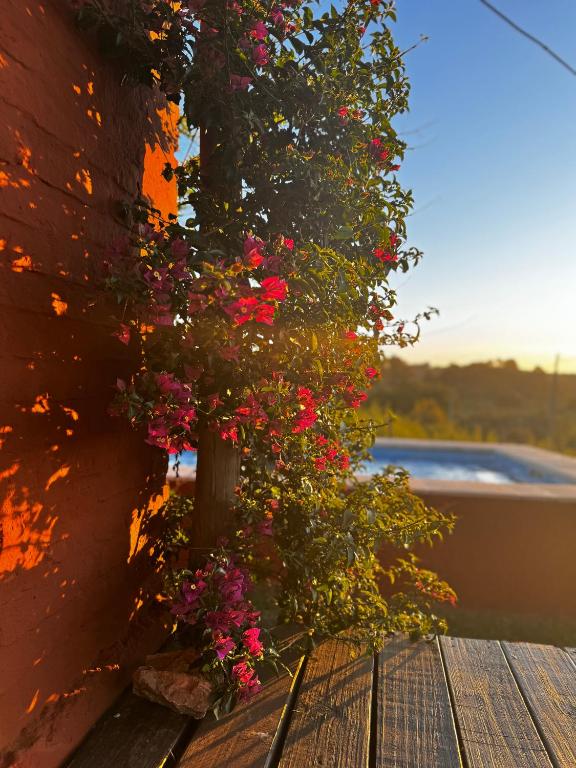 Villa Serrana Cabaña Tata Ruben y Olga 2dormitorios