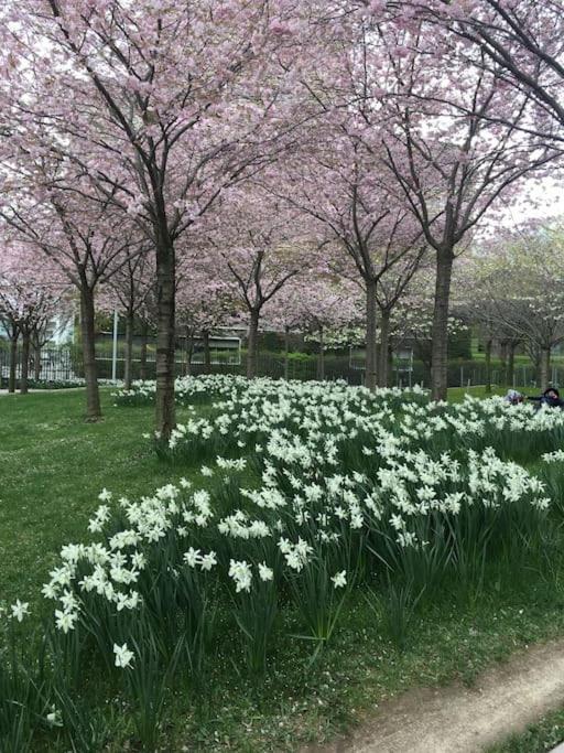 un champ de fleurs blanches dans un parc arboré dans l'établissement Charmant studio confortable dans la plus belle capitale, à Paris