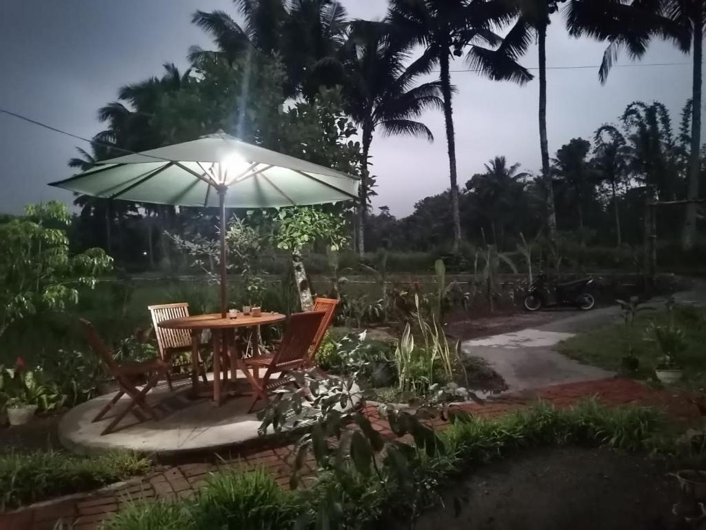 Zahrada ubytování Padi Bungalow