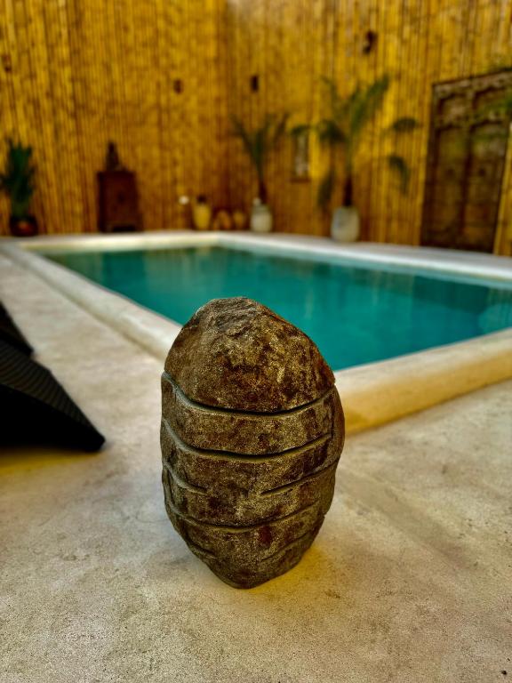 L’Oasis Nanai - Resim 29