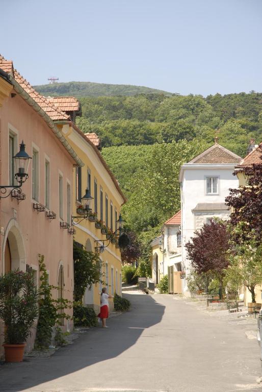 Příroda nedaleko hotelu