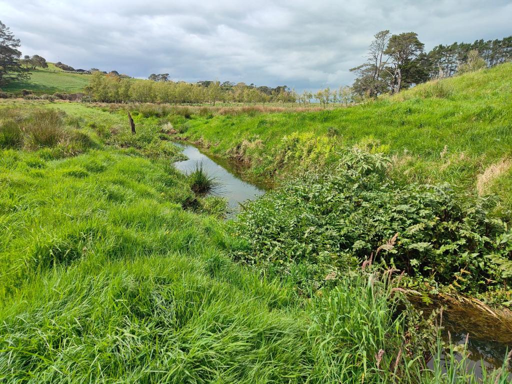 Apartment 1 - Resim 20