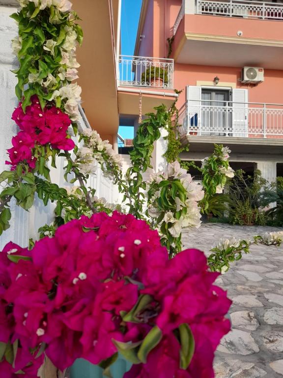 a bunch of pink and white flowers in front of a building at angelos aparts11 in Arillas