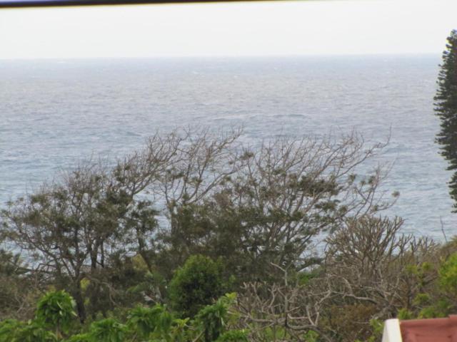 Blick auf das Meer mit Bäumen und Sträuchern in der Unterkunft Suzy's Place in Port Edward