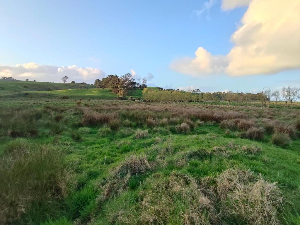 Apartment 1 - Resim 12