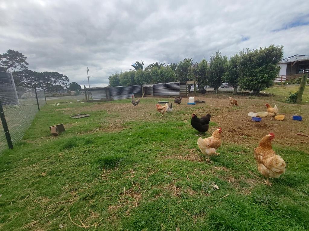 Apartment 4 - Resim 10