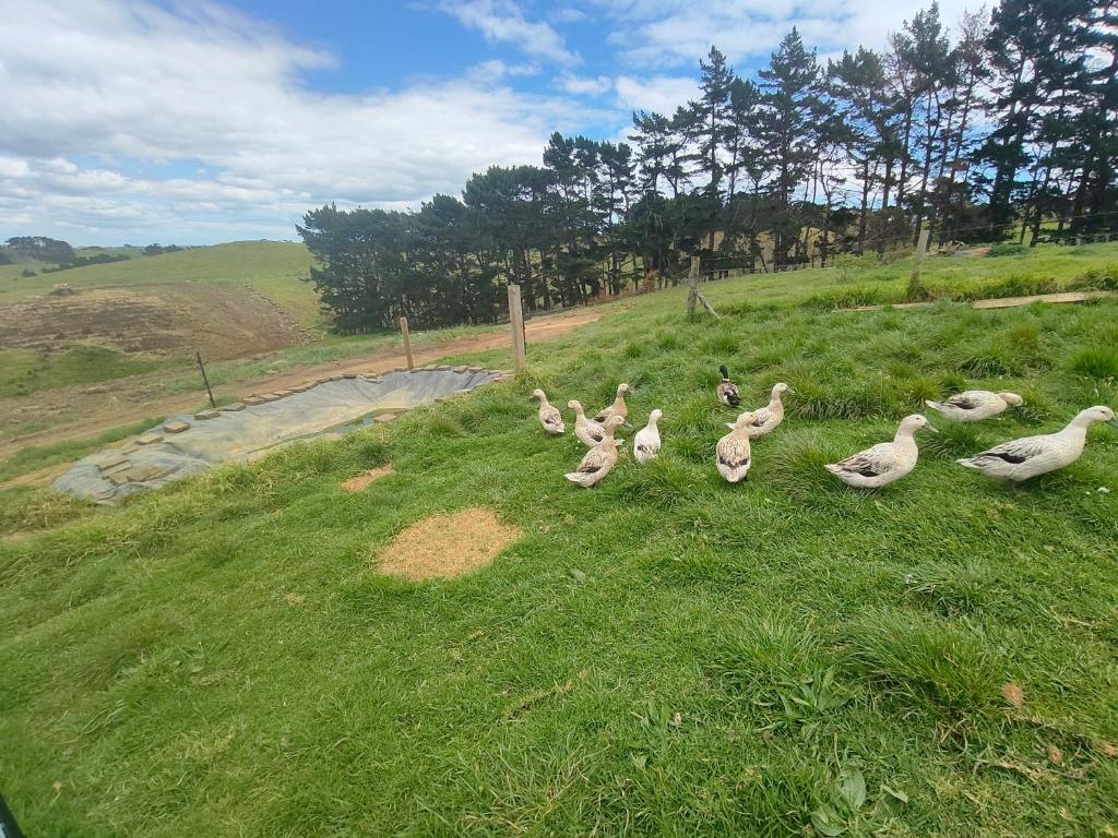 Apartment 4 - Resim 9