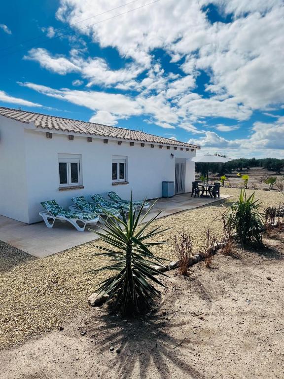 a white building with a palm tree in front of it at Renbeck lets 1 in Urcal