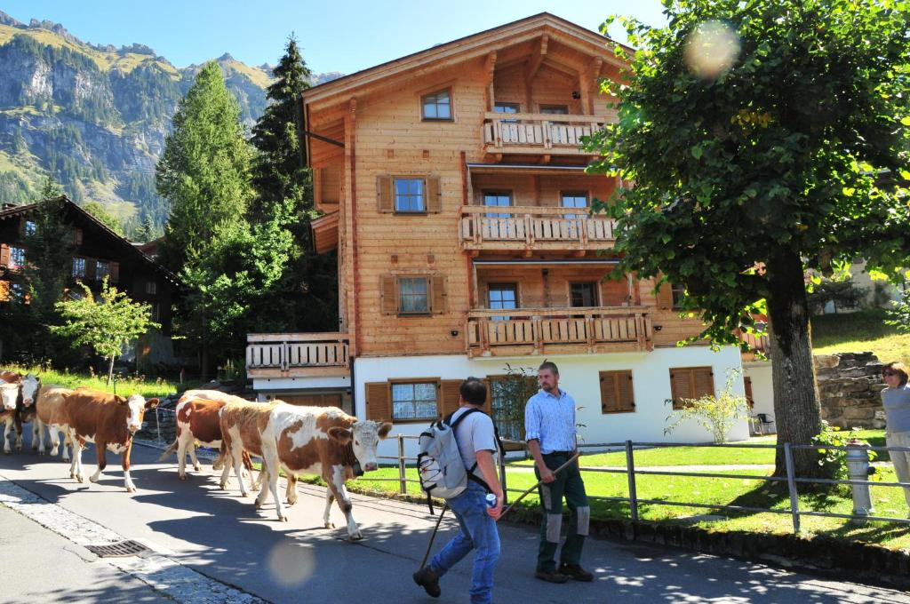 Zvířata v bed and breakfast nebo okolí