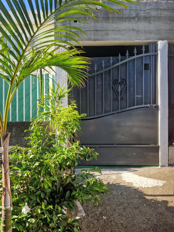 a black gate with a palm tree in front of it at romarin 3 in Saint-Denis