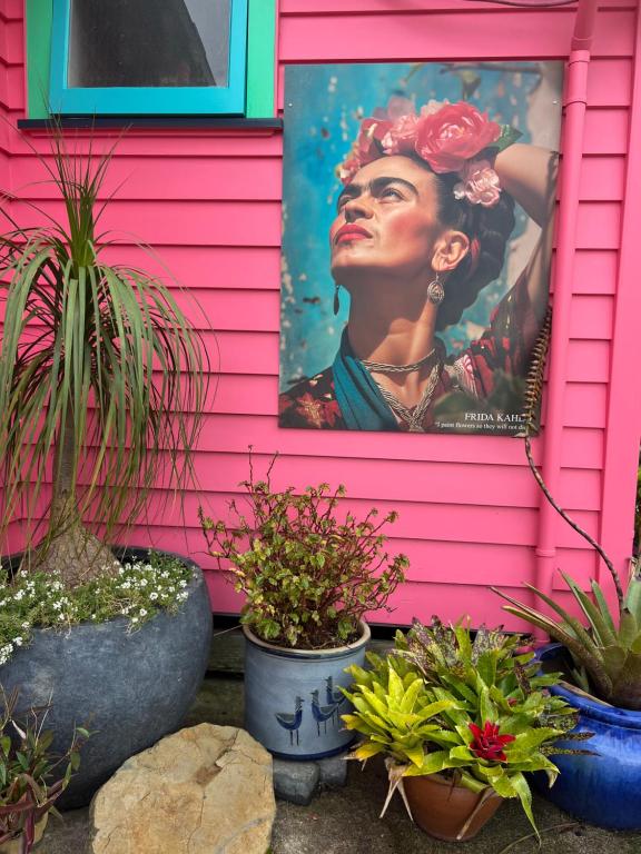 Fridas Accommodation - Resim 1