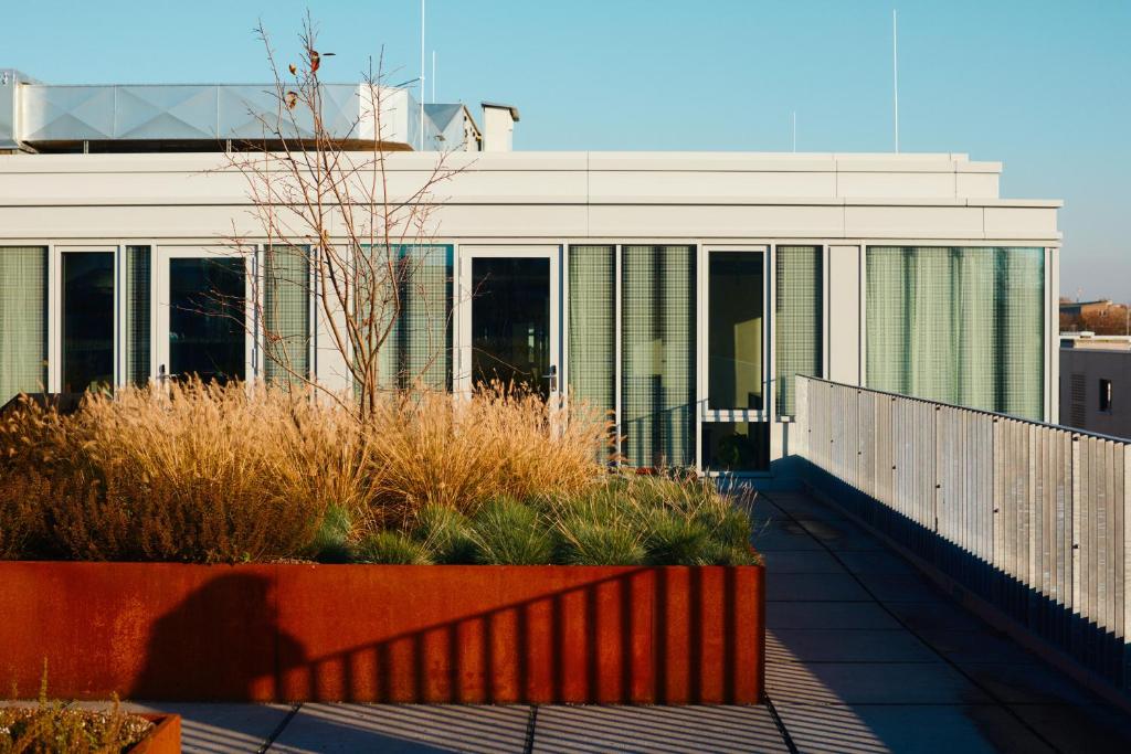 TheClouth - Resim 37