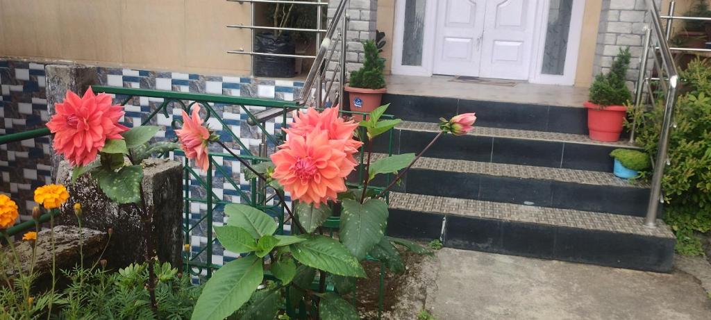 Zahrada ubytování Tranquil Retreat Homestay