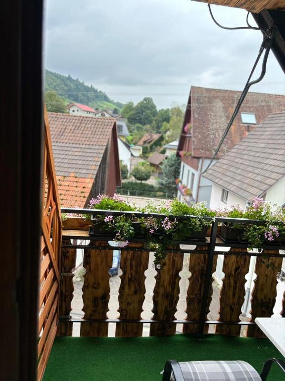 Příroda nedaleko hotelu
