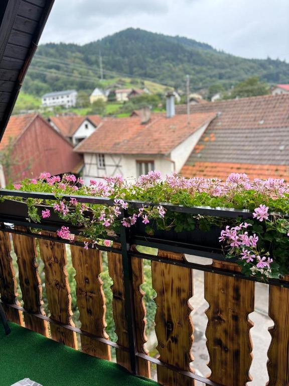 Nespecifikovaný výhled na hory nebo výhled na hory při pohledu z hotelu