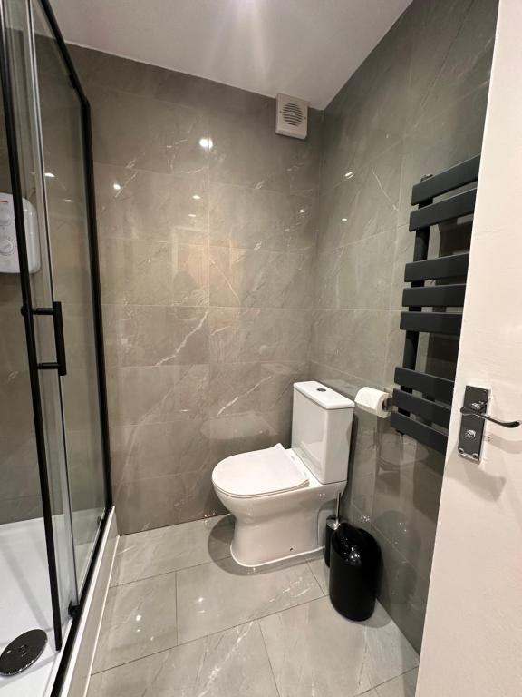 Un baño con inodoro y ducha en A - Newley Renovated Private Self-Contained Room in a Shared Apartment in Birmingham City Centre, en Birmingham