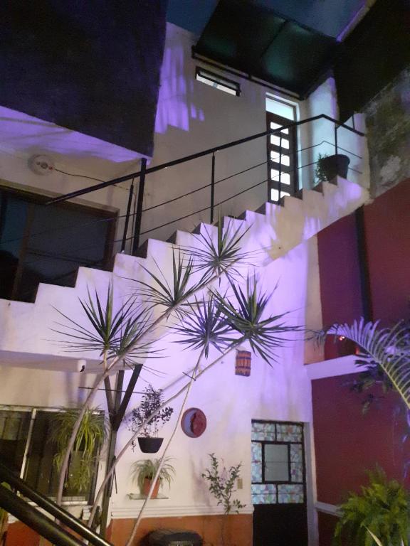 Foto sihtkohas Chapala asuva majutusasutuse Aparta-Hotel CASA REAL Apartamentos galeriist