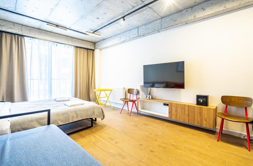 TV a/nebo společenská místnost v ubytování Gudauri ski apart room