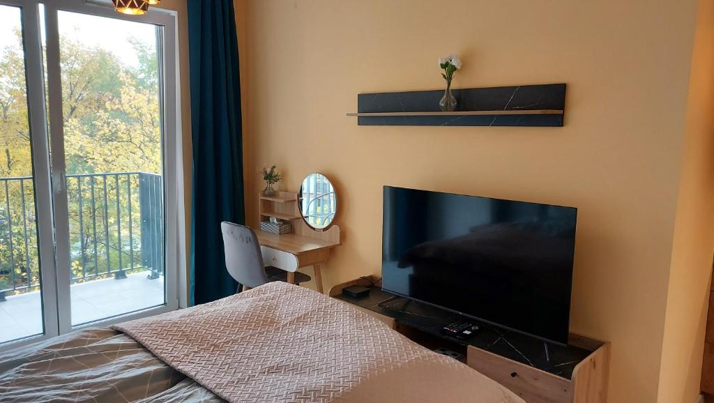 Μια τηλεόραση ή/και κέντρο ψυχαγωγίας στο Apartament Temisto