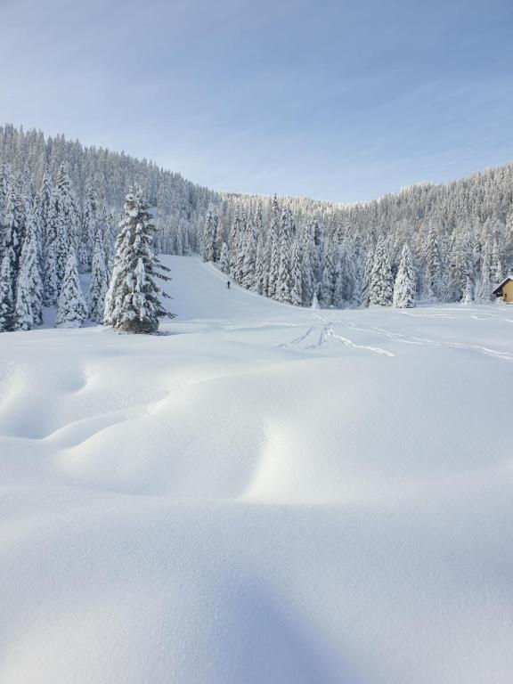 Ferienhaus Schäfer - Apartments - Wintersports - Family holiday - Holiday with your dog - Rural & Scenic during the winter