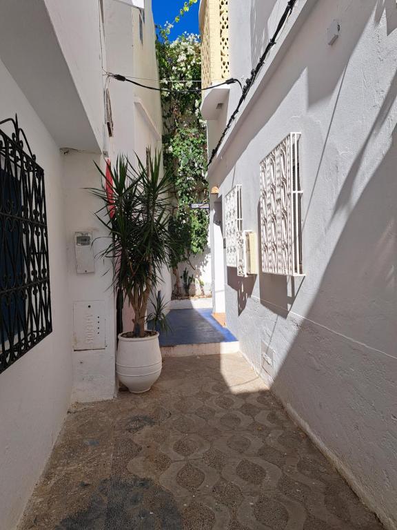 Fotografie z fotogalerie ubytování Darmimouna v destinaci Asilah