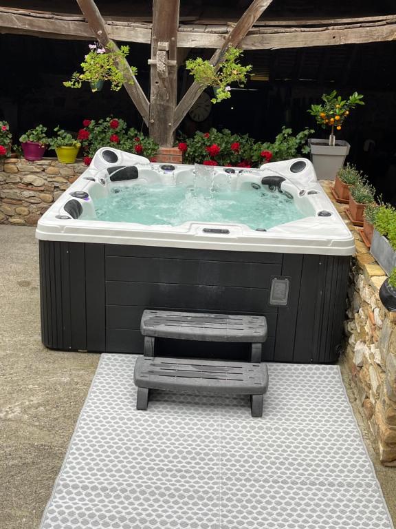 Fotografie z fotogalerie ubytování Chambre d'hôtes Domaine Cherps Spa et piscine v destinaci Vielleségure