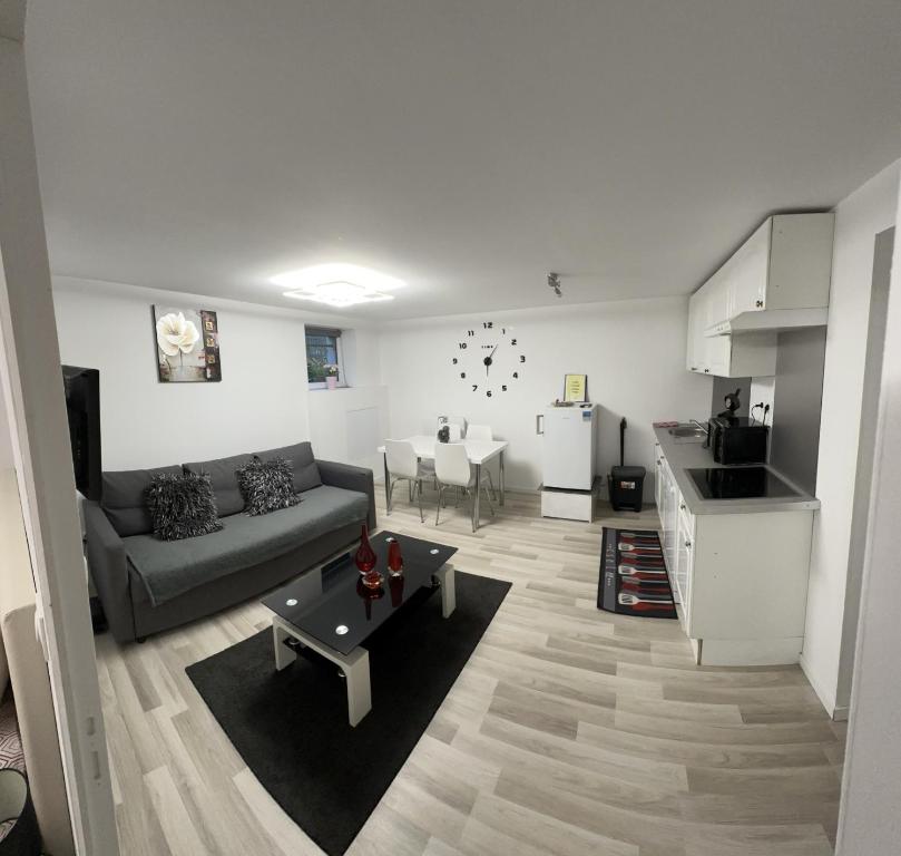 a living room with a couch and a kitchen at Cosy citadin in Mulhouse
