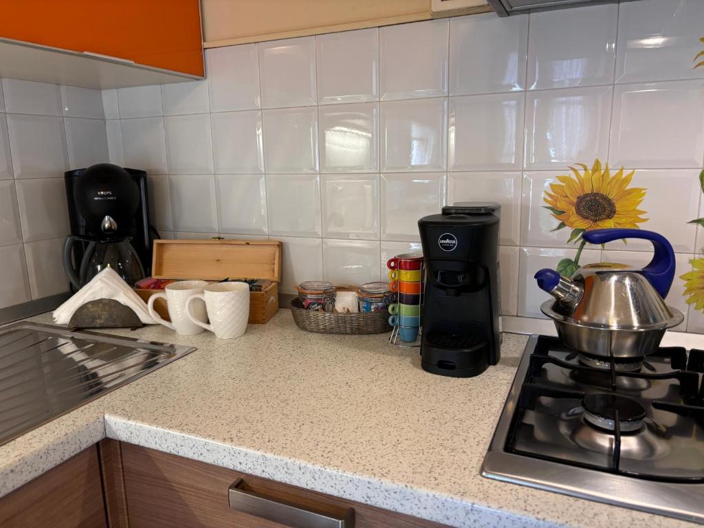 Kuchyň nebo kuchyňský kout v ubytování Gemma Fiorita Casa Vacanze