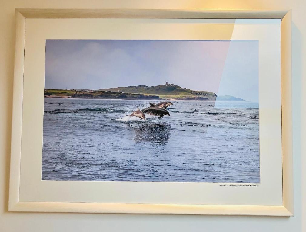 Foto de la galería de The Blue Door en Letterkenny