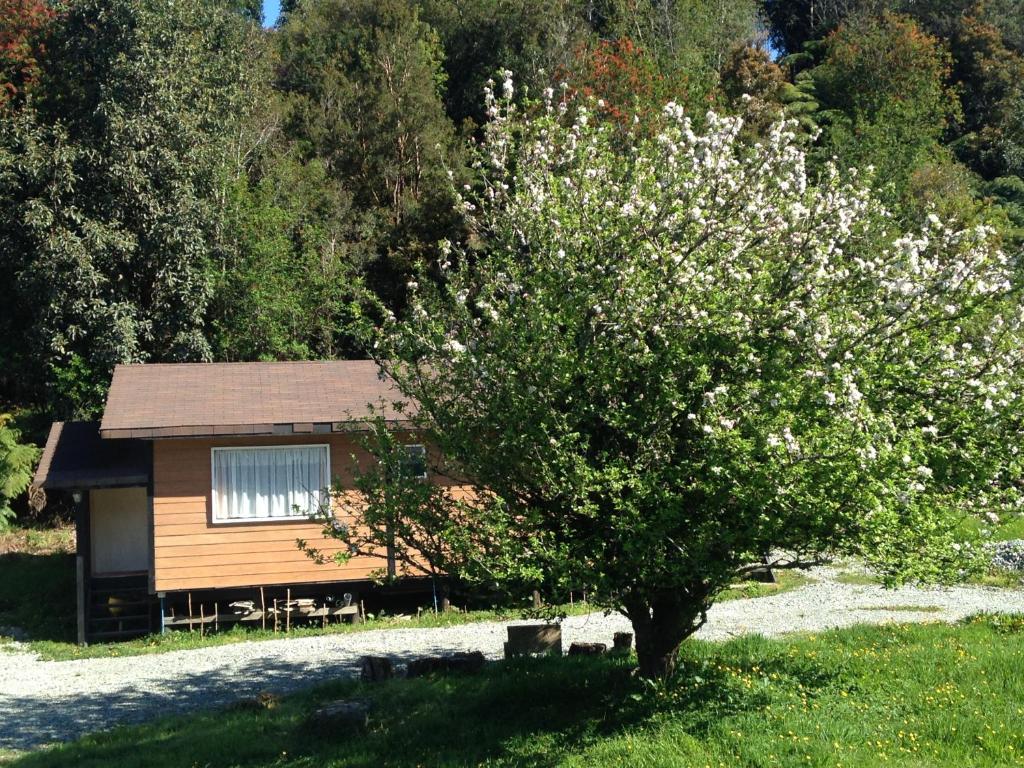 a tree with white flowers in front of a cabin at Cabañas El Mirador in Hornopiren