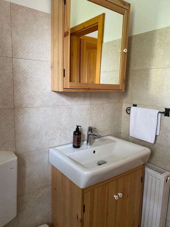 Łazienka w obiekcie Emese Apartman Cserszegtomaj