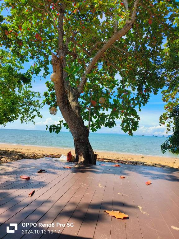 Villa loved beach - Villa D'une Chambre