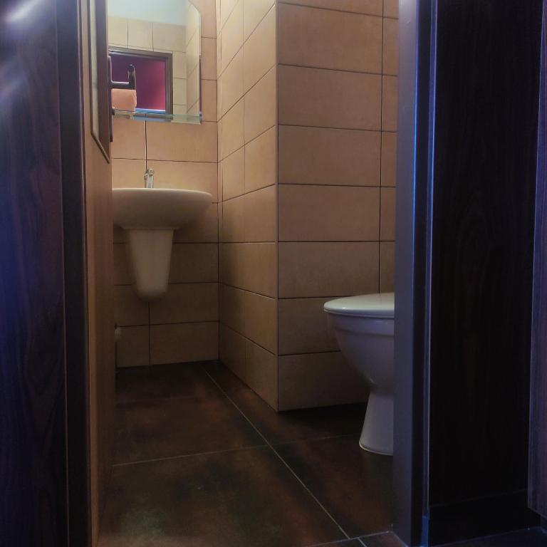 Koupelna v ubytování Luxusní pokoj s vířivou vanou