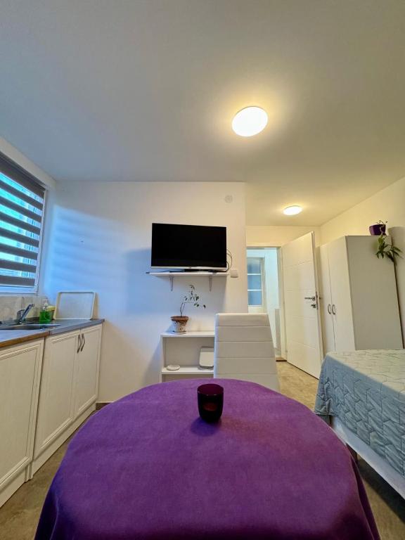 a living room with a purple table and a tv at Studio Oaza Čačak in Čačak