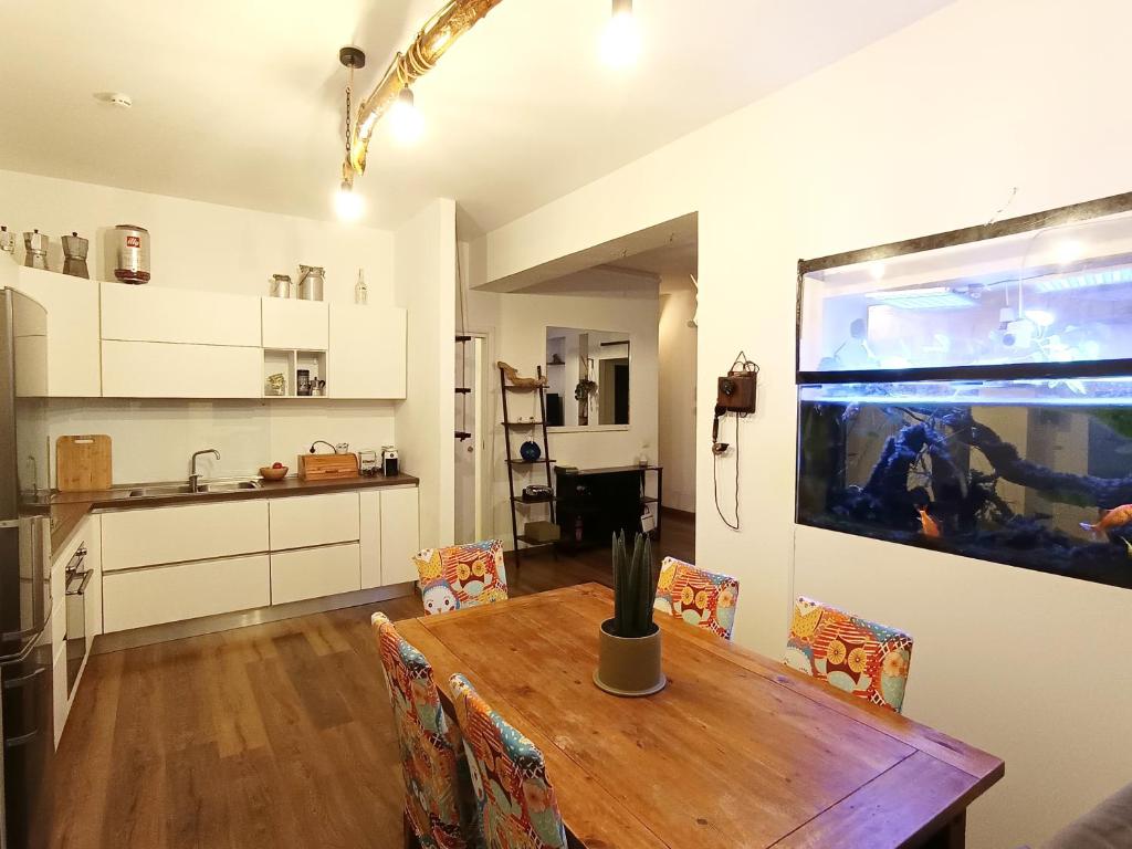 Kuchyň nebo kuchyňský kout v ubytování Rooftop Appia antica,silenzioso riservato two bedrooms two bathrooms