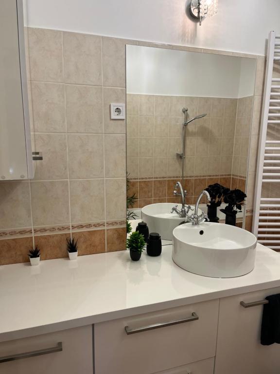 Koupelna v ubytování Picúr és Manó Apartmanja