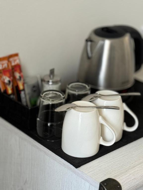 Pension U Draka - 11